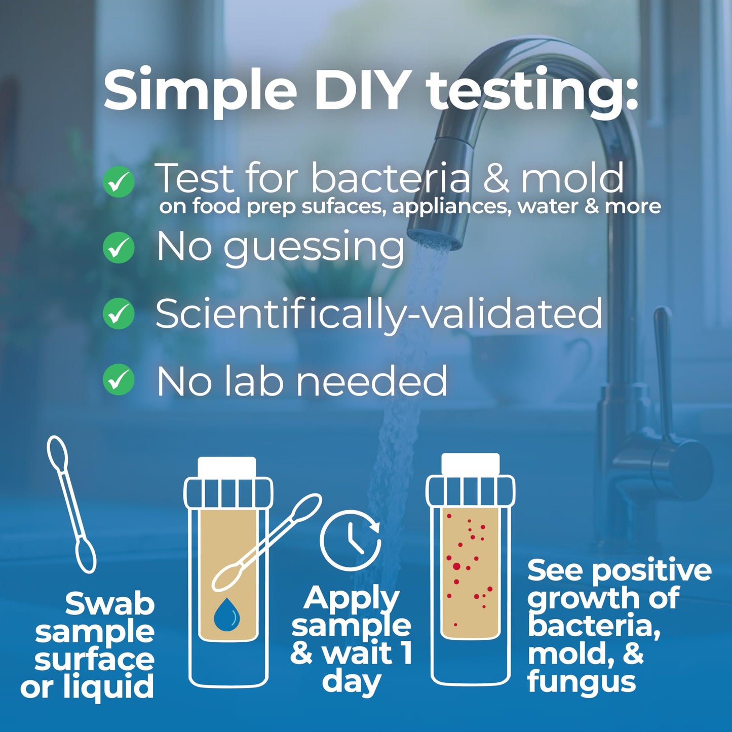 #1 Home, Kitchen, & Appliance Microbial Growth Test Kit – Simple DIY Screening for Bacteria, Mold, & Fungus – Know Your Home is Clean – Made in USA (1 Kit = 4 Bac + 4 Mold Tests) DetektUS supplements