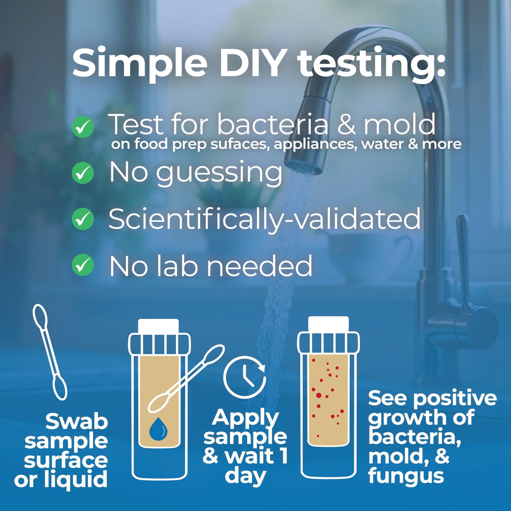 #1 Home, Kitchen, & Appliance Microbial Growth Test Kit – Simple DIY Screening for Bacteria, Mold, & Fungus – Know Your Home is Clean – Made in USA (1 Kit = 4 Bac + 4 Mold Tests) DetektUS supplements
